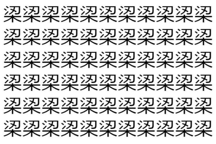 【脳トレ】「鿄」の中に紛れて1つ違う文字がある！？あなたは何秒で探し出せるかな？？【違う文字を探せ！】