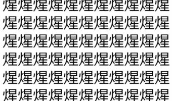 【脳トレ】「煋」の中に紛れて1つ違う文字がある!?あなたは何秒で探し出せるかな??【違う文字を探せ!】