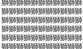 【脳トレ】「獅」の中に紛れて1つ違う文字がある!?あなたは何秒で探し出せるかな??【違う文字を探せ!】