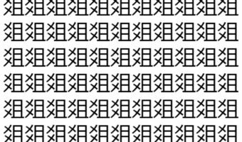 【脳トレ】「爼」の中に紛れて1つ違う文字がある！？あなたは何秒で探し出せるかな？？【違う文字を探せ！】