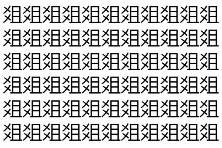 【脳トレ】「爼」の中に紛れて1つ違う文字がある！？あなたは何秒で探し出せるかな？？【違う文字を探せ！】