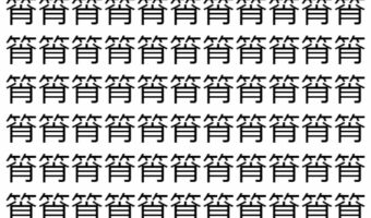 【脳トレ】「筲」の中に紛れて1つ違う文字がある!?あなたは何秒で探し出せるかな??【違う文字を探せ!】