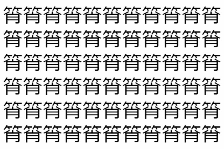 【脳トレ】「筲」の中に紛れて1つ違う文字がある！？あなたは何秒で探し出せるかな？？【違う文字を探せ！】
