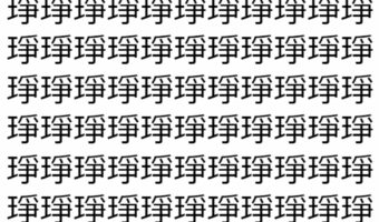【脳トレ】「琤」の中に紛れて1つ違う文字がある！？あなたは何秒で探し出せるかな？？【違う文字を探せ！】