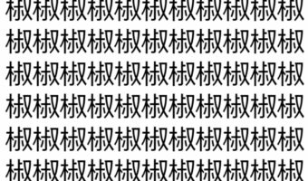 【脳トレ】「椒」の中に紛れて1つ違う文字がある!?あなたは何秒で探し出せるかな??【違う文字を探せ!】