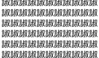 【脳トレ】「諔」の中に紛れて1つ違う文字がある!?あなたは何秒で探し出せるかな??【違う文字を探せ!】