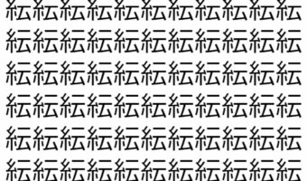 【脳トレ】「紜」の中に紛れて1つ違う文字がある!?あなたは何秒で探し出せるかな??【違う文字を探せ!】