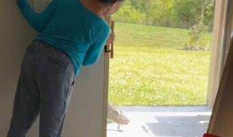 家の外にワニが!?恐ろしいこの訪問客を追い返す頼もしい子が!!【アメリカ・動画】