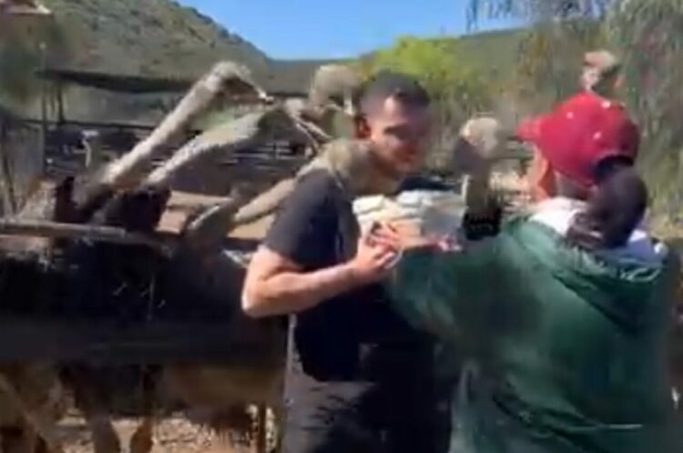 ダチョウと記念撮影！係員にエサの入ったバケツを手渡されたと思ったら・・！！【海外・動画】