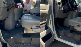 車内にまさかの珍客!?大きなトカゲが侵入したので外に出てもらおうとした結果・・【アメリカ・動画】