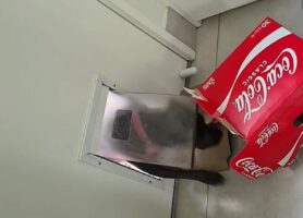 オモチャで遊びたい子犬。なかなかペットドアをくぐらないそのオモチャは・・大きな空箱！！【海外・動画】