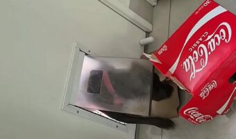 オモチャで遊びたい子犬。なかなかペットドアをくぐらないそのオモチャは・・大きな空箱!!【海外・動画】