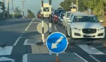 無人の横断歩道の手前で車が止まった理由にほっこり。アヒルの家族が並んで横断中!!【海外・動画】
