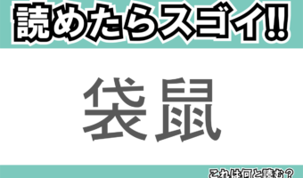 【読めたらスゴイ！】「袋鼠」とは一体何のこと！？ぴょんぴょんジャンプするあの動物をあらわすこの漢字を読めますか？