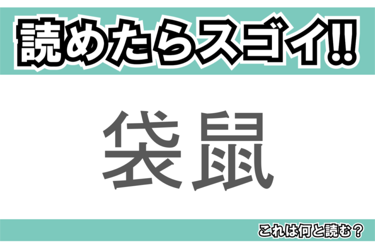 【読めたらスゴイ！】「袋鼠」とは一体何のこと！？ぴょんぴょんジャンプするあの動物をあらわすこの漢字を読めますか？