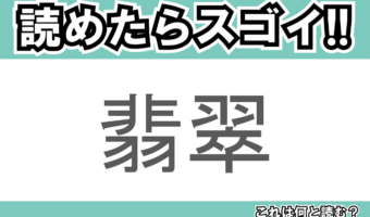 【読めたらスゴイ!】「翡翠」とは一体何のこと!?宝石のように美しい鳥の事ですが・・この漢字を読めますか?