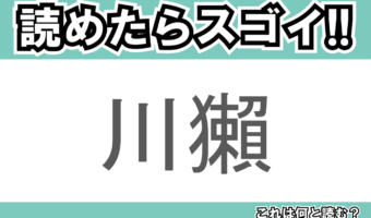【読めたらスゴイ!】「川獺」とは一体何のこと!?とても愛らしい外見のある動物のことですが・・!この漢字を読めますか?