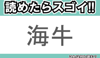 【読めたらスゴイ!】「海牛」とは一体何のこと!?日本では珍しい海の生き物ですが・・?この漢字を読めますか?