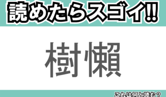 【読めたらスゴイ！】「樹懶」とは一体何のこと！？のんびり屋さんと知られる動物の事ですが・・この漢字を読めますか？