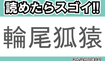 【読めたらスゴイ！】「輪尾狐猿」とは一体何のこと！？尻尾が印象的なある動物のことですが・・、この漢字を読めますか？