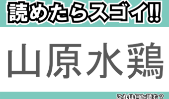 【読めたらスゴイ！】「山原水鶏」とは一体何のこと！？沖縄県のある地域にのみ生息する生き物なのですが・・この漢字を読めますか？