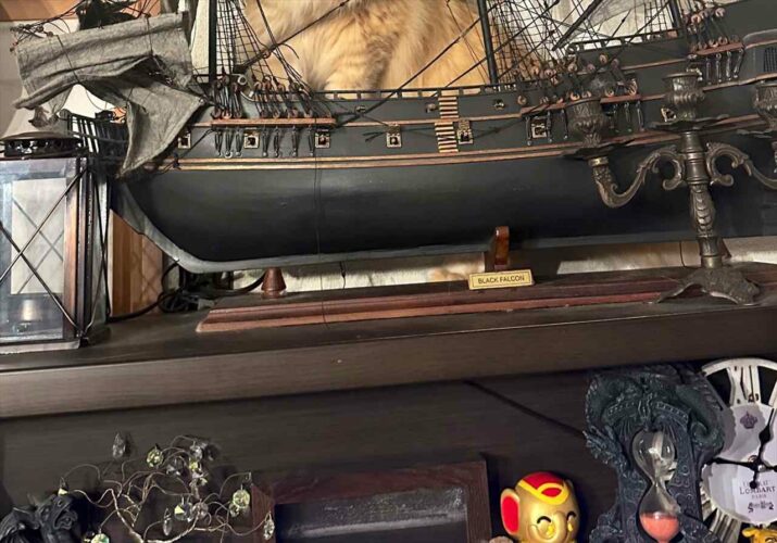 家の中でネコの大捜索。その時ネコがドヤっていた場所に「かっこよすぎる！猫船長！」「ぜひ私めを手下に！」