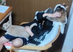 これじゃ宿題ができない！？机に向かう女の子の体勢が話題に「幸せ過ぎて何もできないですね」「猫をナデナデする幸せな宿題」