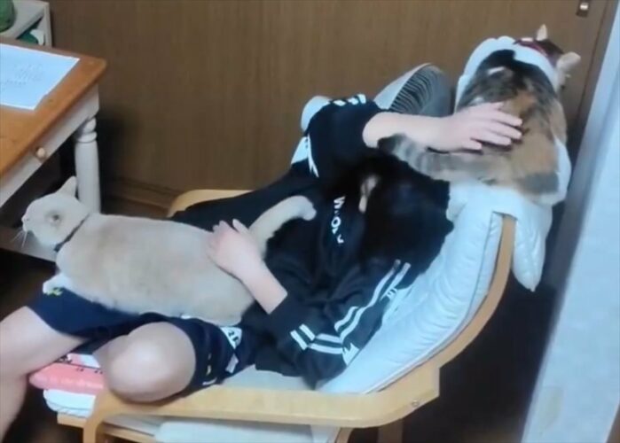 これじゃ宿題ができない！？机に向かう女の子の体勢が話題に「幸せ過ぎて何もできないですね」「猫をナデナデする幸せな宿題」