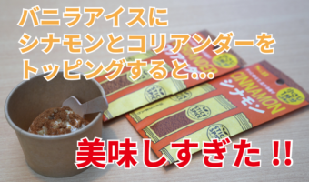 バニラアイスにシナモン&コリアンダーが美味すぎた！スティックスパイスのキッチンカーイベントで味の新世界を見た！！【FUNDOレポート】