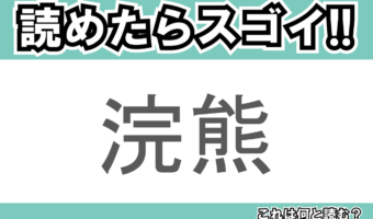 【読めたらスゴイ!】「浣熊」とは一体何のこと!?不朽のアニメにも出てくるあの動物です!この漢字を読めますか?