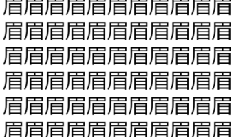 【脳トレ】「眉」の中に紛れて1つ違う文字がある！？あなたは何秒で探し出せるかな？？【違う文字を探せ！】