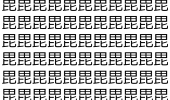 【脳トレ】「毘」の中に紛れて1つ違う文字がある!?あなたは何秒で探し出せるかな??【違う文字を探せ!】