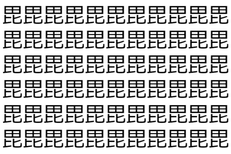 【脳トレ】「毘」の中に紛れて1つ違う文字がある！？あなたは何秒で探し出せるかな？？【違う文字を探せ！】