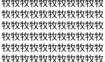 【脳トレ】「牧」の中に紛れて1つ違う文字がある！？あなたは何秒で探し出せるかな？？【違う文字を探せ！】