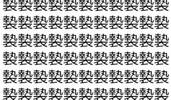 【脳トレ】「褺」の中に紛れて1つ違う文字がある!?あなたは何秒で探し出せるかな??【違う文字を探せ!】