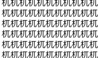 【脳トレ】「杌」の中に紛れて1つ違う文字がある!?あなたは何秒で探し出せるかな??【違う文字を探せ!】