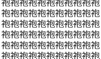 【脳トレ】「袍」の中に紛れて1つ違う文字がある！？あなたは何秒で探し出せるかな？？【違う文字を探せ！】