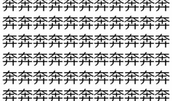 【脳トレ】「奔」の中に紛れて1つ違う文字がある!?あなたは何秒で探し出せるかな??【違う文字を探せ!】