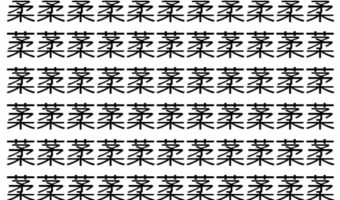 【脳トレ】「葇」の中に紛れて1つ違う文字がある！？あなたは何秒で探し出せるかな？？【違う文字を探せ！】