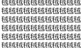 【脳トレ】「毧」の中に紛れて1つ違う文字がある！？あなたは何秒で探し出せるかな？？【違う文字を探せ！】