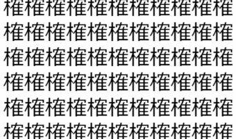 【脳トレ】「榷」の中に紛れて1つ違う文字がある!?あなたは何秒で探し出せるかな??【違う文字を探せ!】