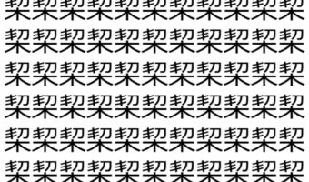 【脳トレ】「栔」の中に紛れて1つ違う文字がある！？あなたは何秒で探し出せるかな？？【違う文字を探せ！】