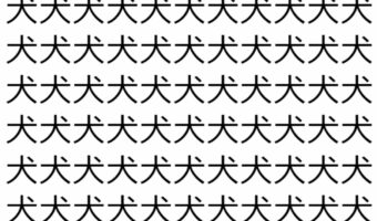 【脳トレ】「犬」の中に紛れて1つ違う文字がある！？あなたは何秒で探し出せるかな？？【違う文字を探せ！】