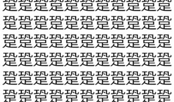 【脳トレ】「跫」の中に紛れて1つ違う文字がある!?あなたは何秒で探し出せるかな??【違う文字を探せ!】