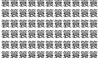 【脳トレ】「簑」の中に紛れて1つ違う文字がある!?あなたは何秒で探し出せるかな??【違う文字を探せ!】