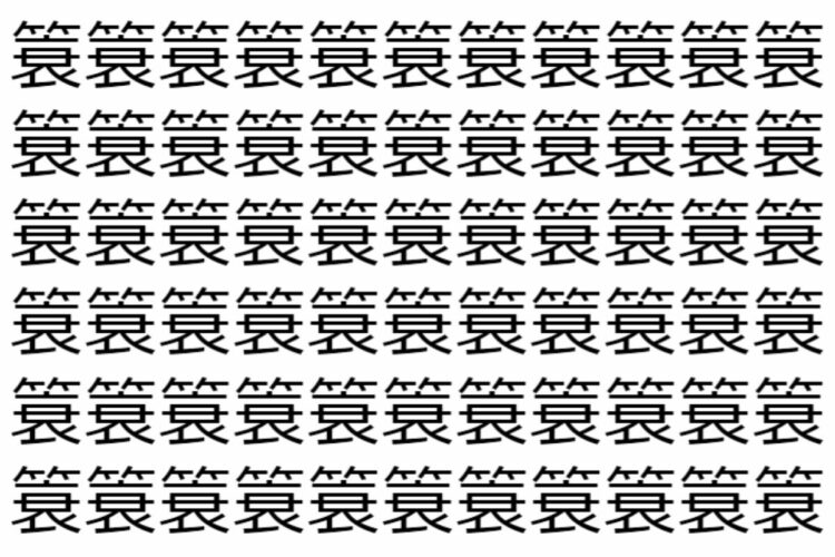 【脳トレ】「簑」の中に紛れて1つ違う文字がある！？あなたは何秒で探し出せるかな？？【違う文字を探せ！】