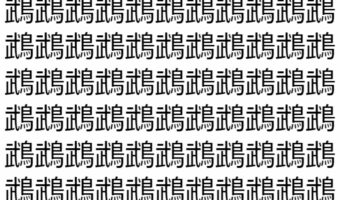 【脳トレ】「鵡」の中に紛れて1つ違う文字がある!?あなたは何秒で探し出せるかな??【違う文字を探せ!】