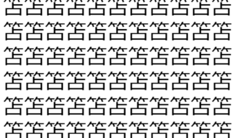 【脳トレ】「笘」の中に紛れて1つ違う文字がある！？あなたは何秒で探し出せるかな？？【違う文字を探せ！】