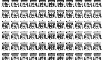 【脳トレ】「蠃」の中に紛れて1つ違う文字がある!?あなたは何秒で探し出せるかな??【違う文字を探せ!】