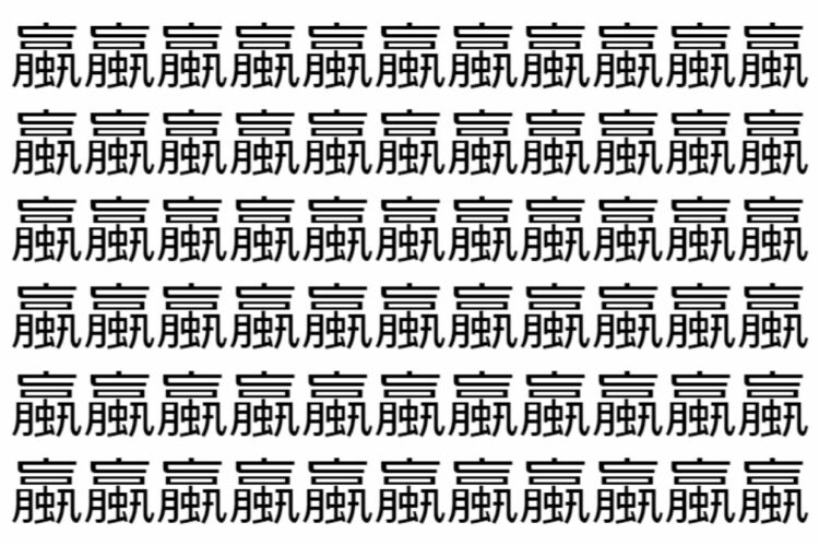 【脳トレ】「蠃」の中に紛れて1つ違う文字がある！？あなたは何秒で探し出せるかな？？【違う文字を探せ！】